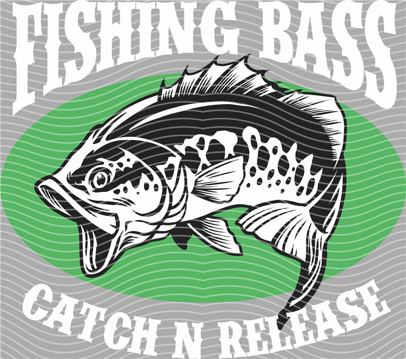 Fishing Series-DY 240